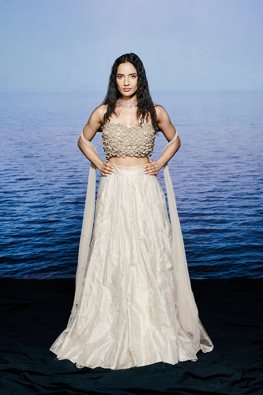 The Nova Blouse with Lehenga Set