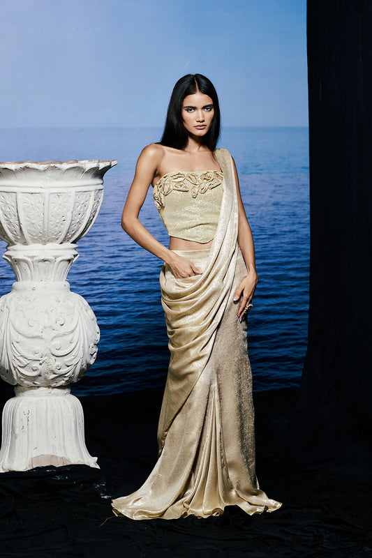 The Metamorphosis Saree