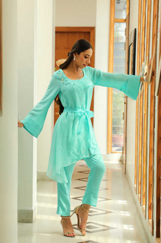 Frozee pant suit with embroidery on organza overlay